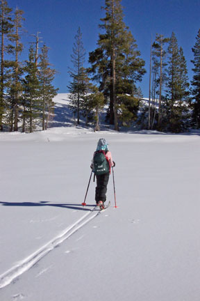 Image of skier crossing Flora Lake on way to low rise overlooking Donner Lake.