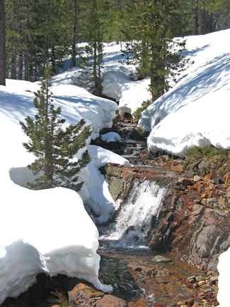 Image of spring creek