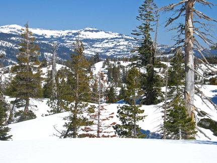 Image of Castle Peak