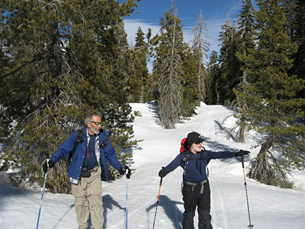 Image of skiers trying to figure out which way to go in wooded area.