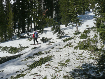 Image of avalanche debris