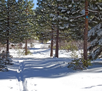 Image of marked trail heading to overlook