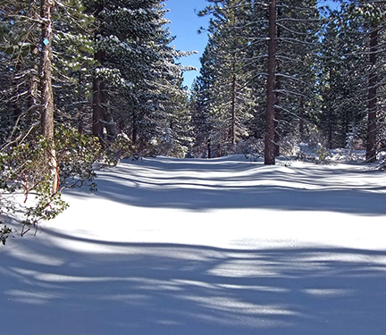 Image of snow-covered road