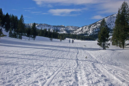 Meadow on south side of highway at Tahoe Meadows