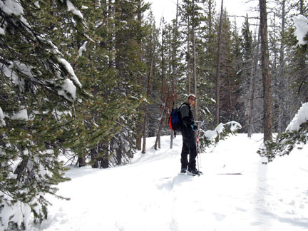 Skiing through trees after leaving clearing