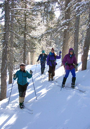 Traversing through trees