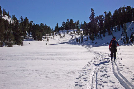 Image in meadow in Galena Creek drainage
