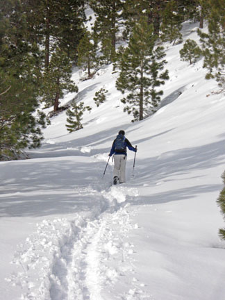 Image of skier climbing on old Mt. Rose Highway