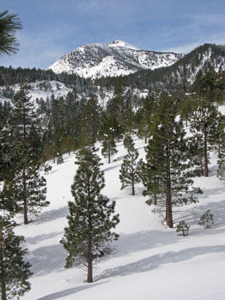 Image of Mt. Rose