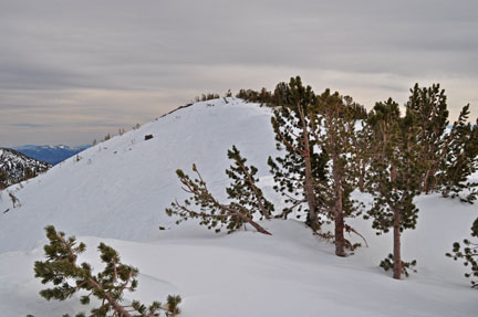 Image of Tamarack Peak