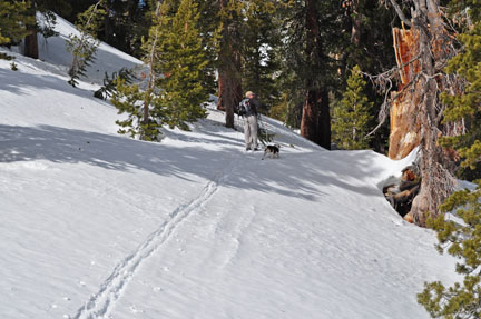 Image of skier climbing toward Ginny Lake