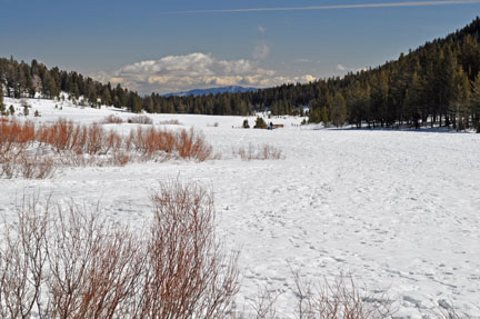 Image of Ophir Creek drainage