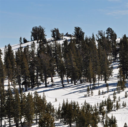 Image of Peak 8843