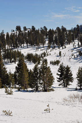Image of Peak 8843