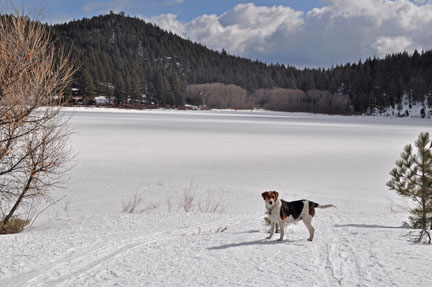 Image of Spooner Lake