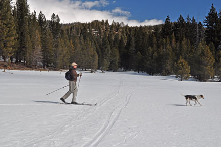 Image of skier on meadow near Spooner Lake