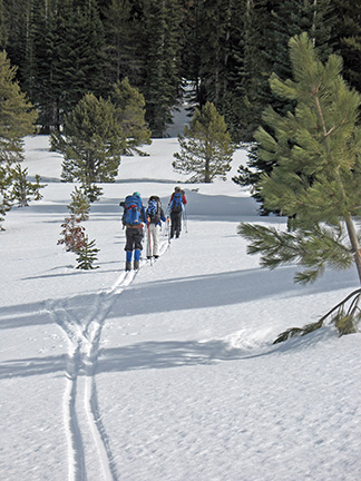 Image of skiers in Milkhouse Meadow