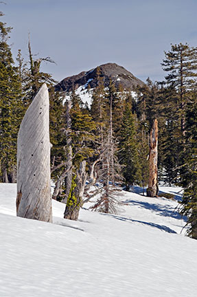 Image of Brown Mountain