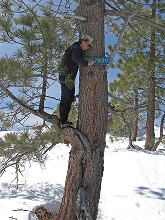 Image of skiers installing sign at Peak 7620