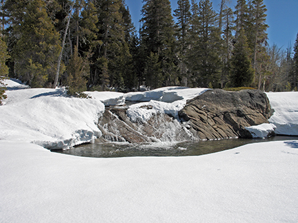 Image of Tragedy Creek