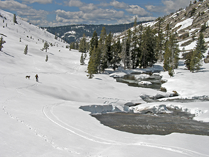 Image of Bear River in spring