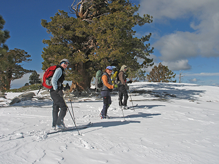 Image of windswept ridge