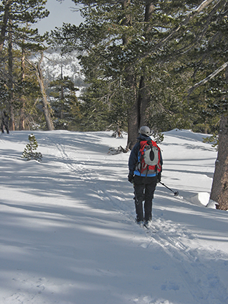Image of skiing near Peak 8096