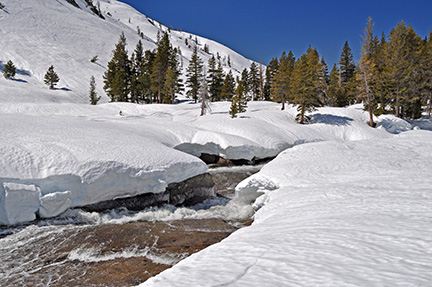 Image of Bear River