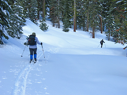 Image of skiers along road