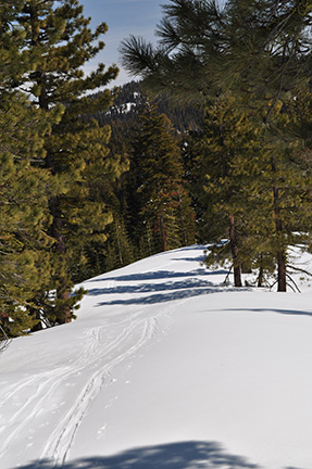 Image of first ridge