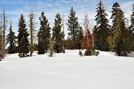 Image of broad ridge