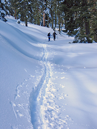 Images of skiers on road