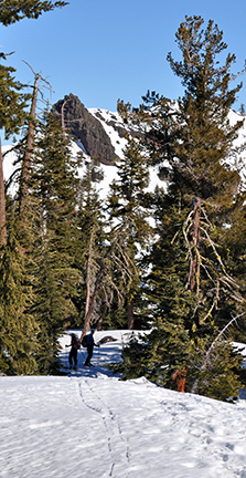 Image of slope descending to saddle