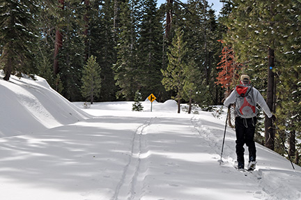 Image of skier on Crabtree Road