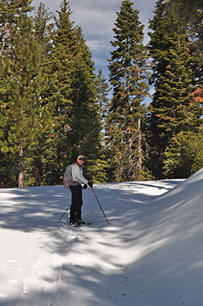 Image of skier on Crabtree Road