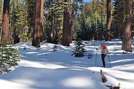 Image of skiers on Old Crabtree Road