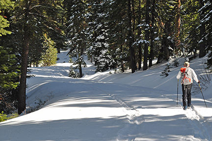Image of skier on Crabtree Road