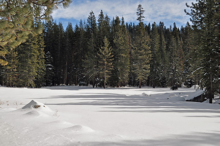 Image of Aspen Meadow