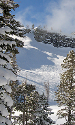 Image of shredded slope below Horse Ridge