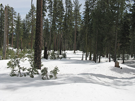 Image of typical broad ridge