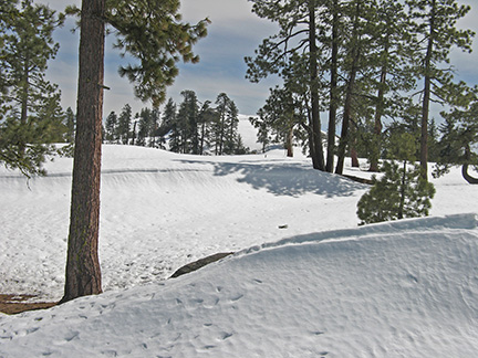 Image after climbing to level and open terrain