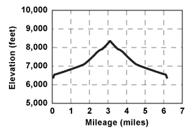 Elevation profile for tour