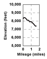 Elevation profile for tour